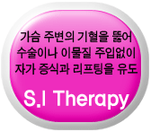 SI Therapy